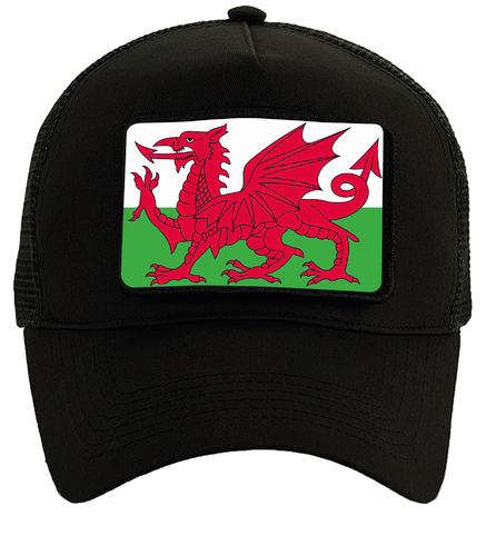 Wales Flagge Removable Patch Snapback Trucker